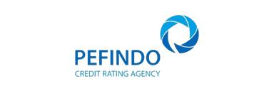 PEFINDO PEFINDO